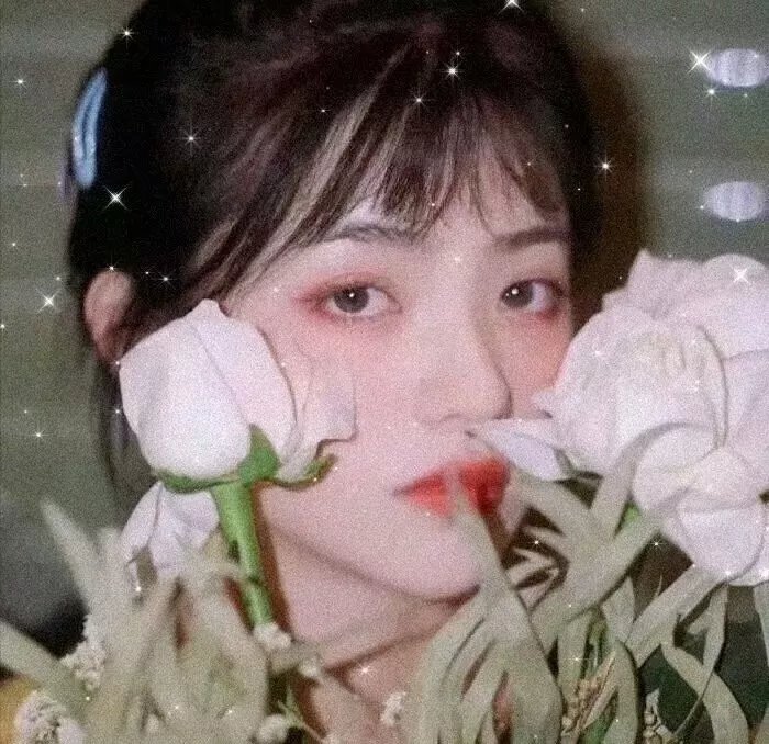 路人女主的养成方法第二季